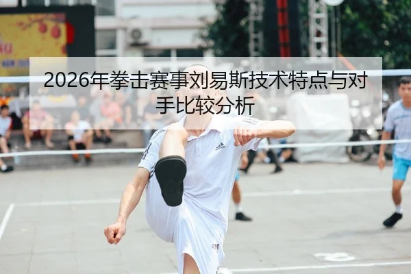 2026年拳击赛事刘易斯技术特点与对手比较分析