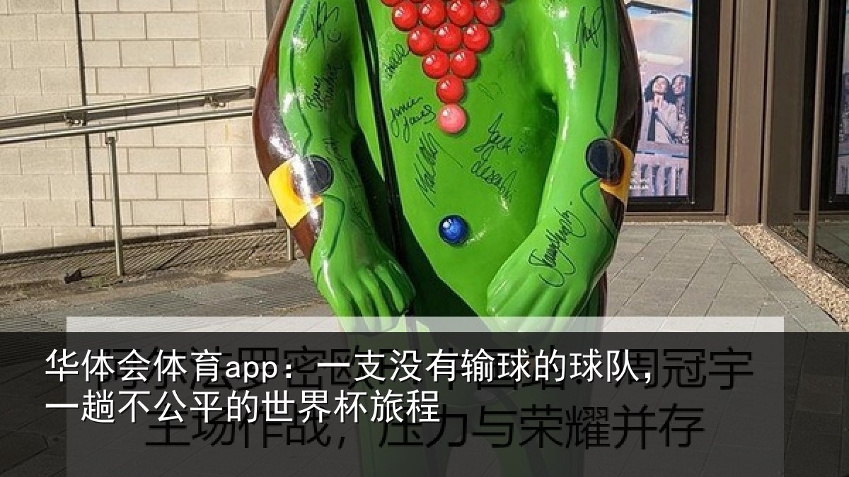 华体会体育app：一支没有输球的球队，一趟不公平的世界杯旅程